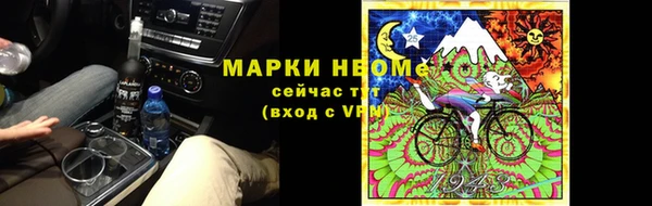 индика Новокубанск