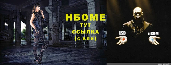 гашик Новозыбков