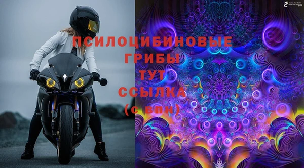 гашик Новозыбков