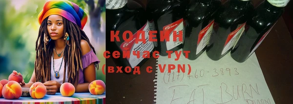 индика Новокубанск