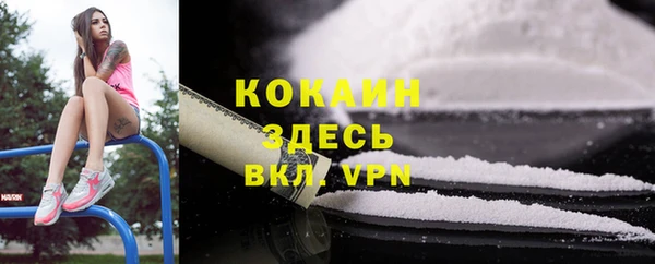 индика Новокубанск