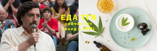 гашик Новозыбков
