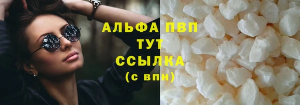 гашик Новозыбков