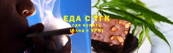 гашик Новозыбков
