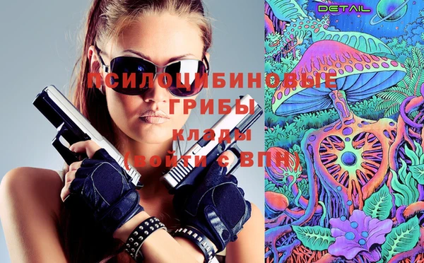 2c-b Новодвинск