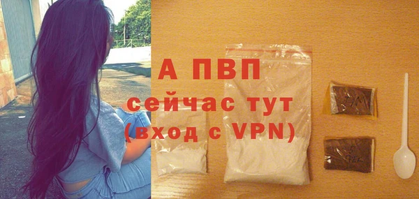 гашик Новозыбков