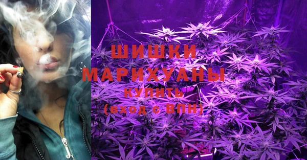 индика Новокубанск