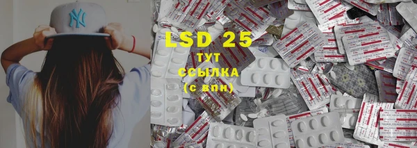 индика Новокубанск