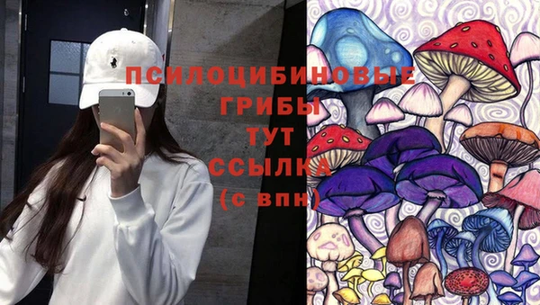 индика Новокубанск
