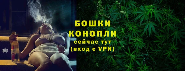 индика Новокубанск