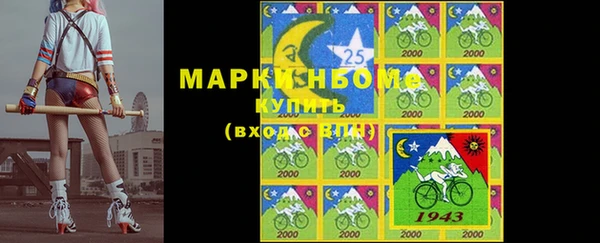 индика Новокубанск