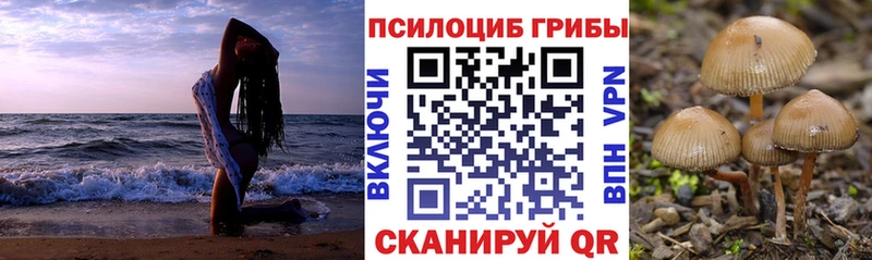 Галлюциногенные грибы прущие грибы  Владимир 