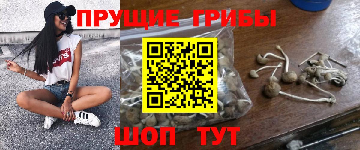 Псилоцибиновые грибы GOLDEN TEACHER Владимир